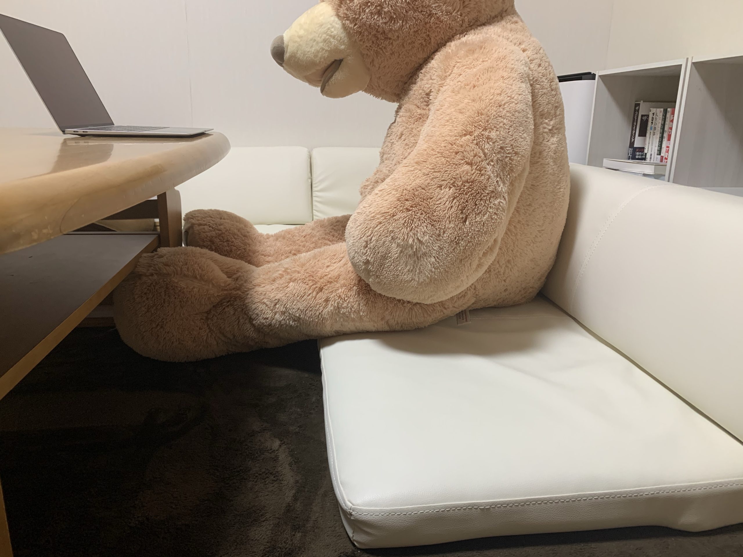 安くておしゃれなローソファーを購入したレビュー コスパ良い Freedom